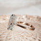 Cushion Diamond Hidden Halo Solitaire Compass Engagement Ring