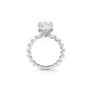 Oval East West Band and Hidden Halo Engagement Ring