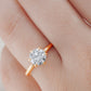 Round Brilliant Diamond Engagement Ring (European Shank)