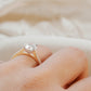 Round Brilliant Diamond Two-Tone Cathedral Pave Setting