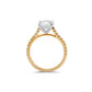 Round Brilliant Diamond Two-Tone Cathedral Pave Setting